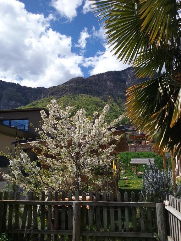 Wiesmüllerhof Caldaro Dış mekan fotoğraf